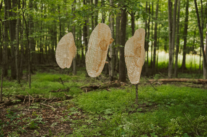 <i>BIG PLATES</i>